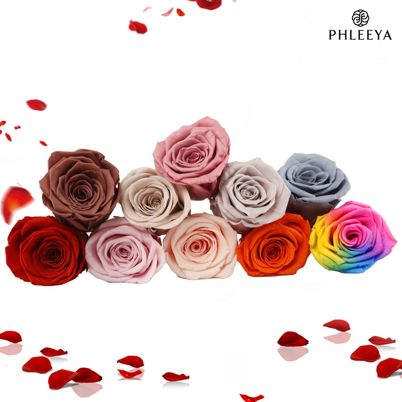 6 ชิ้น Eternal Rose ดอกไม้หัวข - Wedding Supply Bulk บทวิจารณ์และราคา
