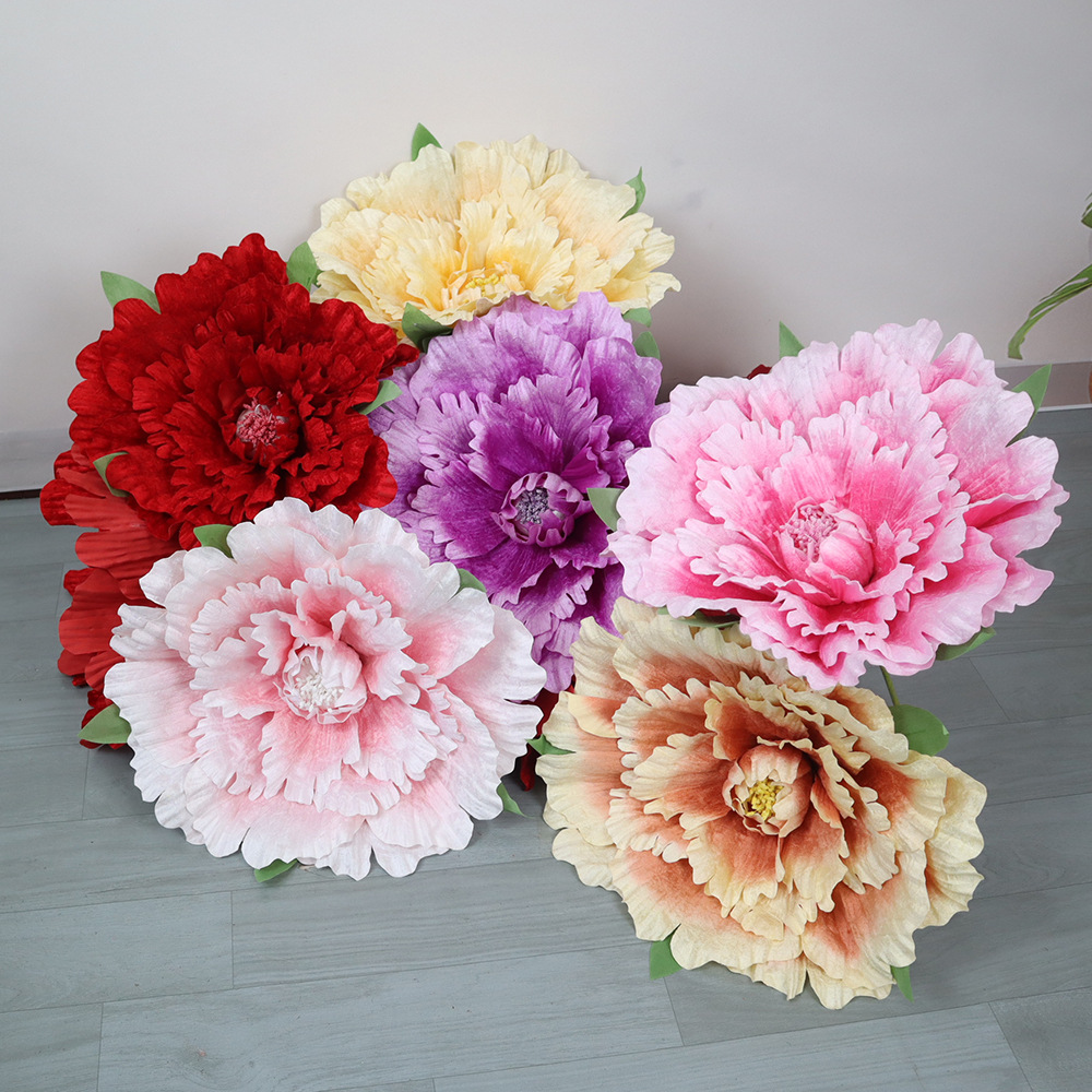 ดอกโบตั๋นกำมะหยี่ขนาดใหญ่ 30-8 - Wedding Supply Bulk บทวิจารณ์และราคา